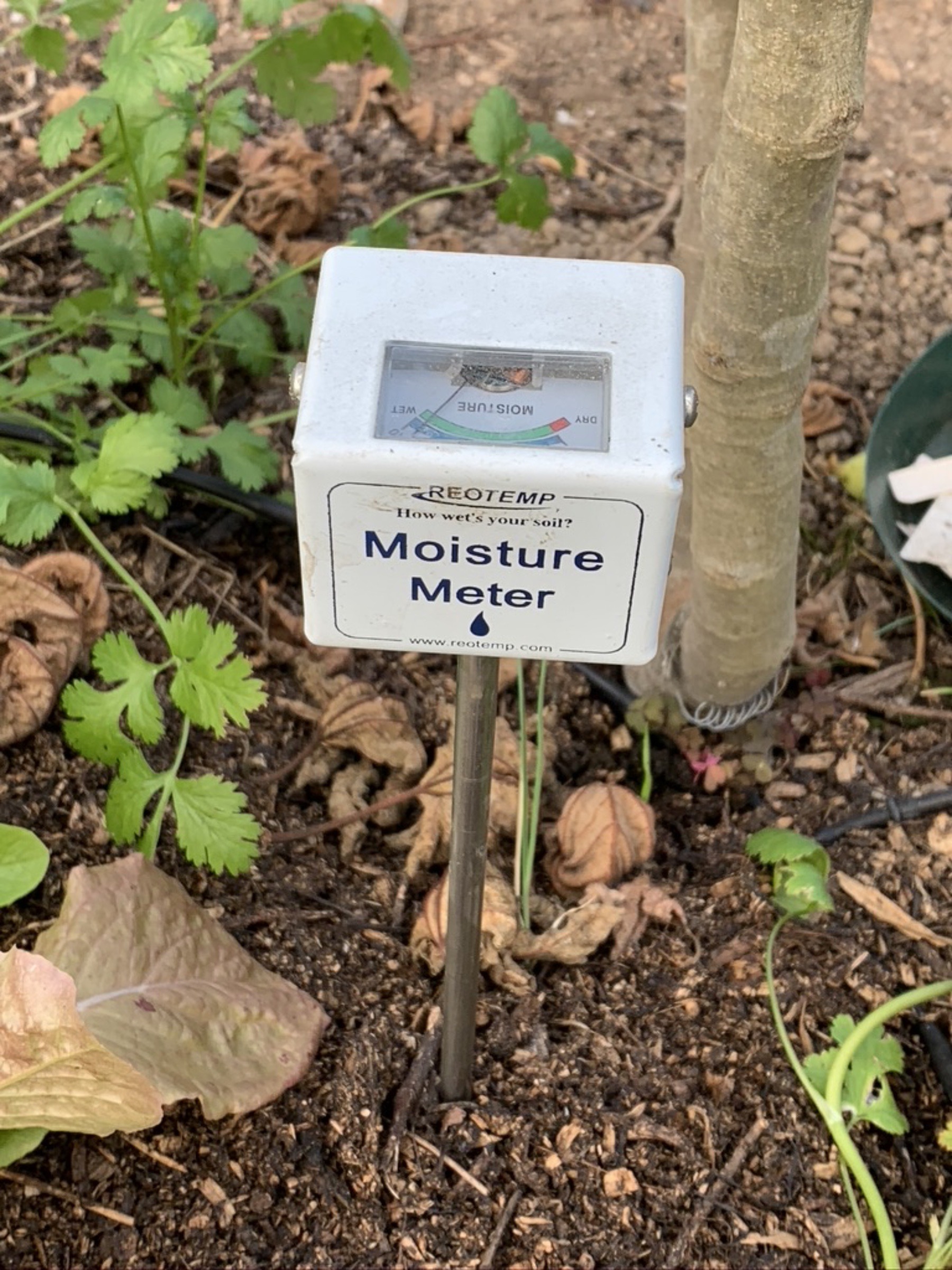 Soil moisture meter