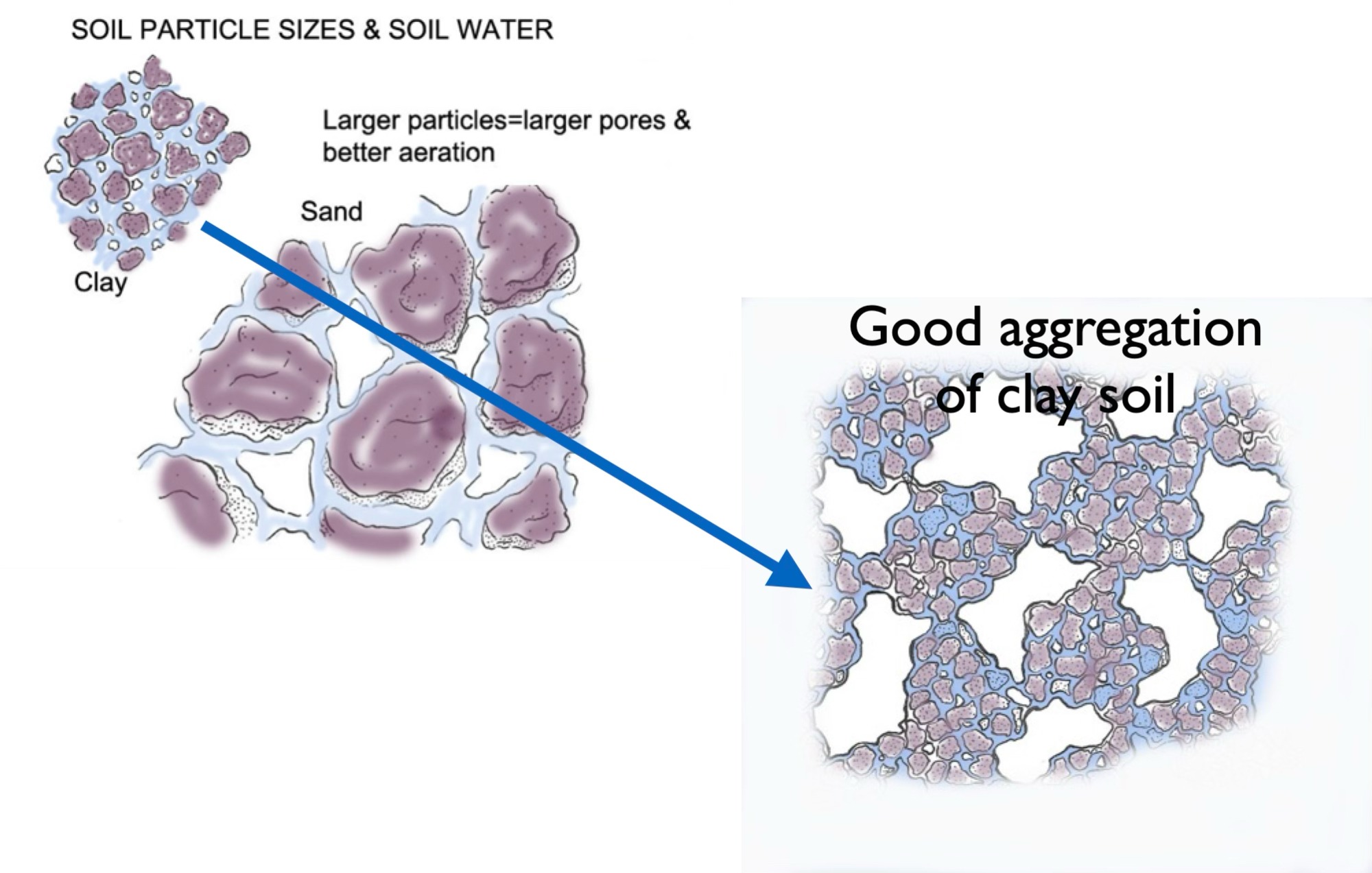 Soil particle size & aggregation