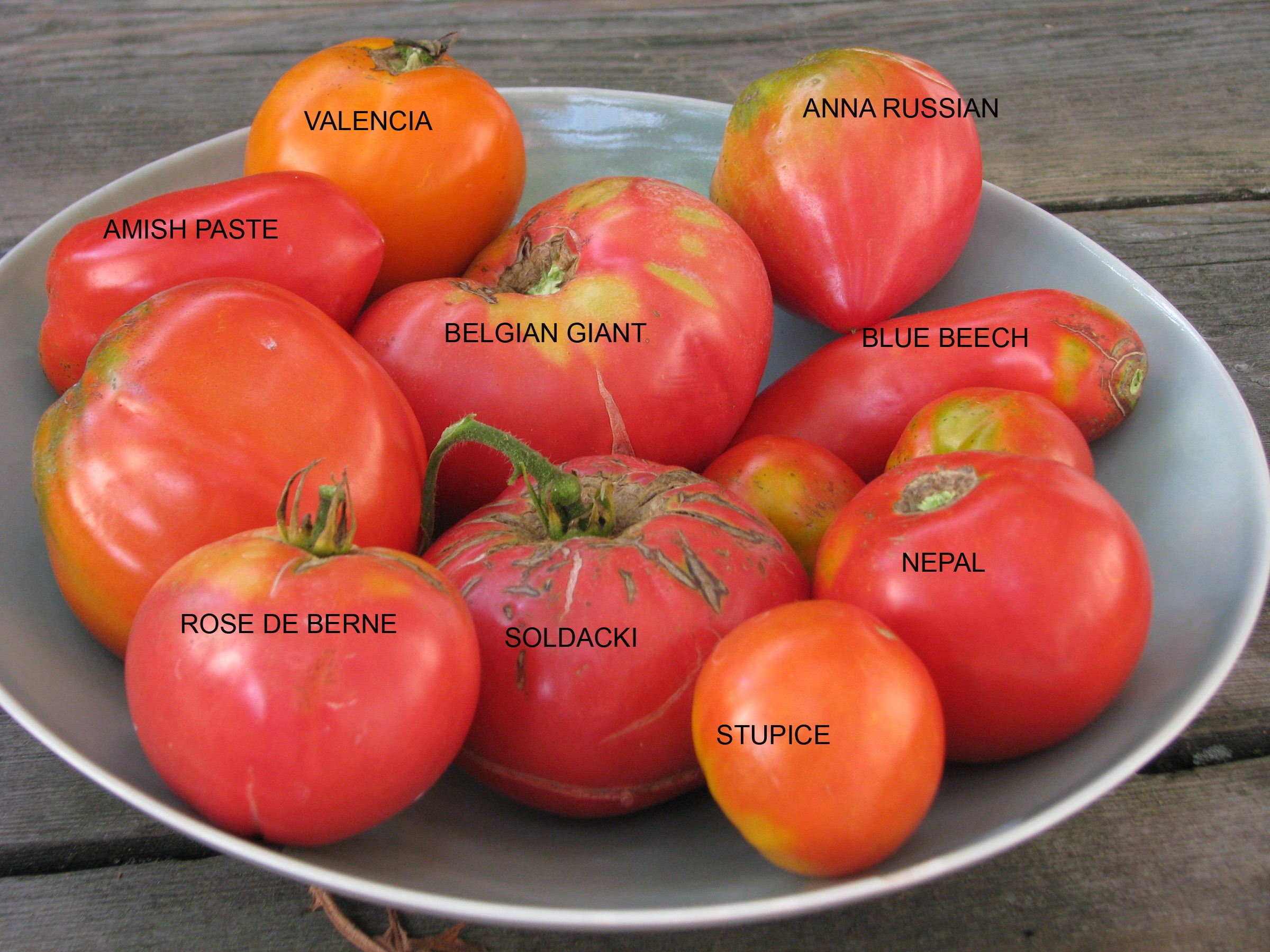 Some of my favorite tomato varieties