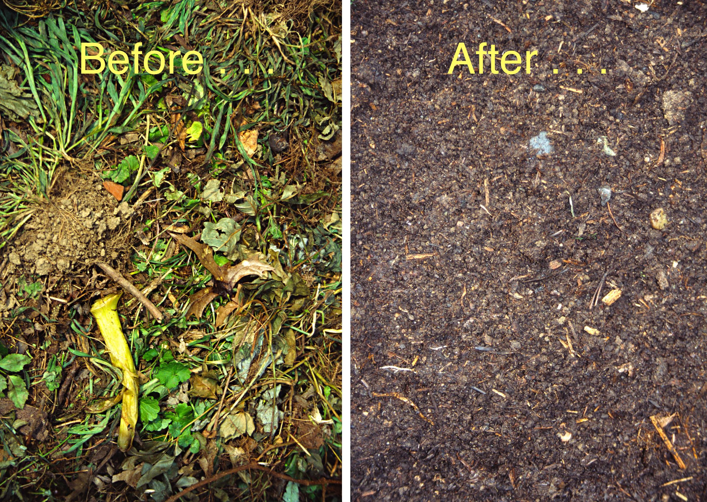 Compost, before and after