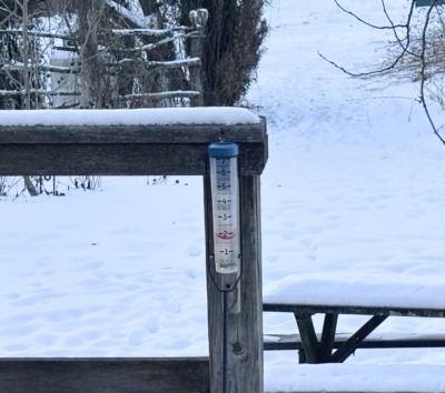 Rain gauge, Taylor silicone