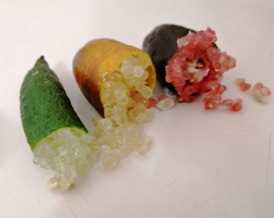 Colorful finger limes