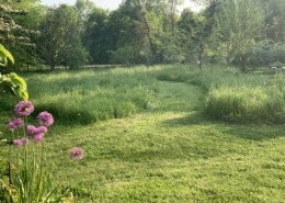Lush meadow above ground, rich soil below ground
