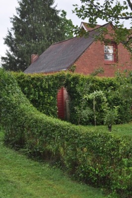 Hedges need repeated shearing with hedge shears each season 