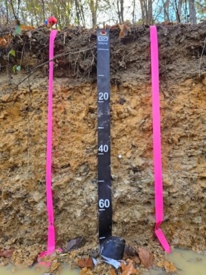 Soil profile showing real topsoil