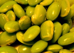 Edamame, ready to eat