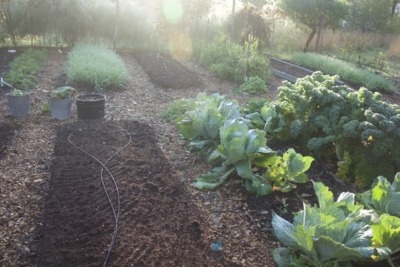 A well-nourished garden because . . .
