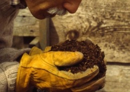 Smelling compost