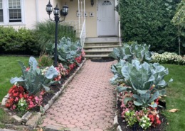 Ornamental front path vegetables and flowers together
