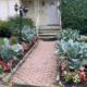 Ornamental front path vegetables and flowers together