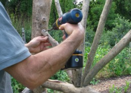Screwing wood pieces together