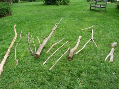 Wood laid out on ground