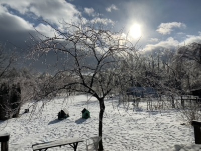Ice storm