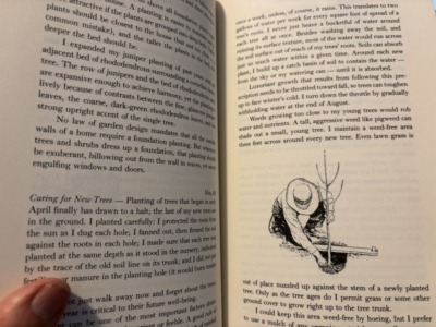 Page from my book