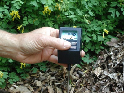 Electronic moisture meter