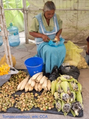 Merchant in Guanajuato selling corn husks, tomatillos, and huitlacoches