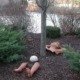Mulched tree with sculpture