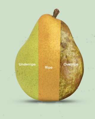 Pear skin in various stages of ripeness