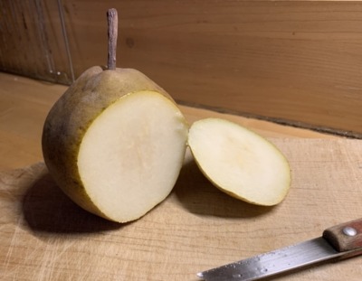 Passe Crasanne pear, ripe and ready for eating