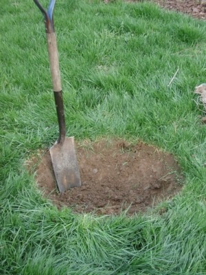 Digging planting hole